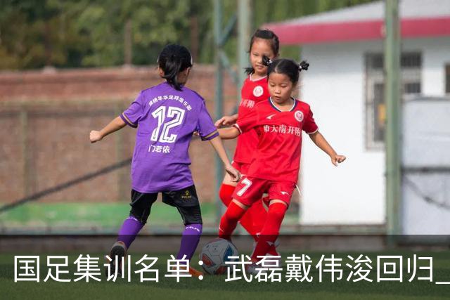 国足集训名单：武磊戴伟浚回归 李昊首次入围